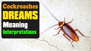 Dream About Roaches or Cockroaches Interpret Now! Dream Meaning