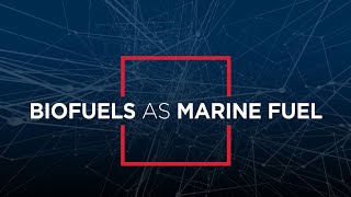 Three Key Takeaways for Utilizing Biofuels as Marine Fuel