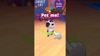 MY CAT, CUTEST EVER! #enjoy #cute #cat #trending #pets #gameplay #gaming #shorts