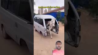 অসাধারণ বুদ্ধি 😂🤣😂#comedy #viralvideo #funny #shorts #foryou