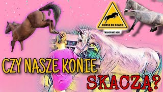 CZY NASZE KONIE SKACZĄ?