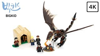 LEGO Harry Potter 75946 Hungarian Horntail Triwizard Challenge - Lego Speed Build 4K