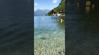 Fish swimming in Lake Como 🐟 #italiandestinations #italianlakes #peaceful #watersounds