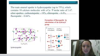 Factors affecting the formation and mineralization of dental hard tissues