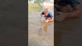 Amazing Hand Fishing #fish_video​ #best_fishing​ #fishing​ #reaction​ #edit​ #fish​ #catchbi