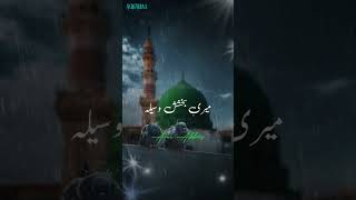 Qawwali Kamali Wala | کملی والے | #aunabbas #qawwali #shots 🙏🕋🤲