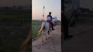 horse 🐎 🎠 riding in DHA Kashmir Park