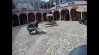 Baby sheep in Cusco