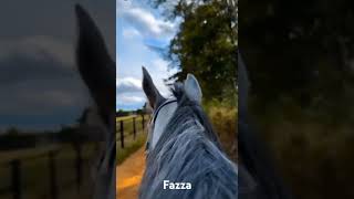 Fazza🐎Sheikh Hamdan Bin Mohammed Bin Rashid Al Maktoum🤍Crown Prince of Dubai🤴🏻🇦🇪💙