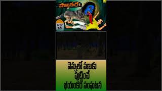 పొలిమేర  Real Horror Story in Telugu | polimera Real Ghost Experience | Animals Horror Stories _ 06