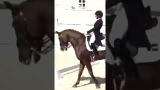 Dressage edit- #shorts audio credit to @quitezyaudios