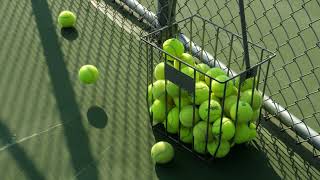 Community Matters - Vandalism Leaves Tennis Team in Pickle