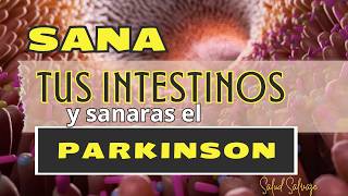 LA CONECCION INTESTINO-CEREBRO: cómo las bacterias podrían causar la enfermedad de Parkinson