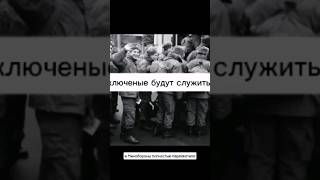 Заключенные в России, будут обязаны служить