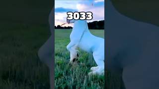 Evolution of Horse || #minecraft #shorts #short