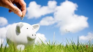 Want to Save Money? Learn Financial Strategies for Canadian IT Incorporated Small Business Owners