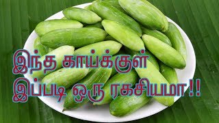 இந்த காய்க்குள் இப்படி ஒரு ரகசியமா!!This pakku is such a secret !!