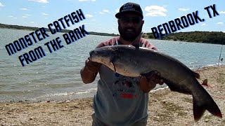 Catching Big Catfish from the bank plus a magic trick