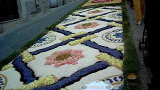 S Pier Niceto .Infiorata 2010.AVI