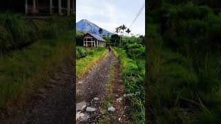 jalan jalan pagi di desa     #short #shortvideo #desa#sindoro #wonosobo_asri