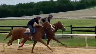 Princess Clemmie (rail) and Chattolanee Spring breeze their first 3/8ths on 5/17.