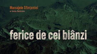 Ferice de cei blânzi - Marcajele sfințeniei (Fericirea III) | Doru Hriscu | Harvest Arad