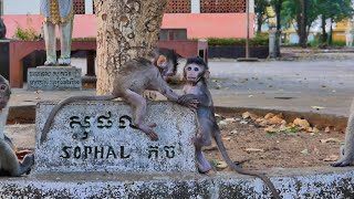 Wow...This Baby Monkey Loves His Favorite Foods  Wildlife / Animal Life