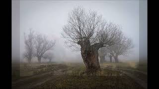 Robbie Williams - ANGELS (U Fokusu)