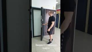 Дверь входная Эверест