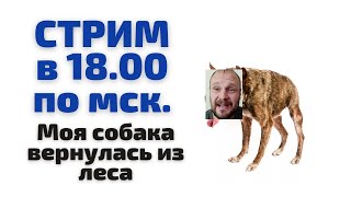 NICK Би возвращение бродячего пса /// Отдыхаем ///