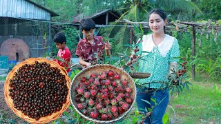 Roselle flower drinking, Wild jujube picking, Water lilies salad and sour soup | Cooking with Sros