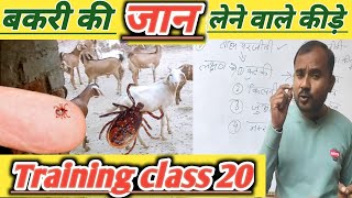 Bakri Ko Kuposhan Se Kaise Bachaye |Kaun Si Dawa Se Bakri Ki Dewarming Kare |Vimalumrao Training