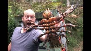 We Caught the Biggest Fresh Water Crayfish!!! What a Monster