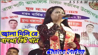 জ্বালা দিলিরে বুকের ভিতর । Jala Dilire Boker Bitor Jala । Chaina Sarkar । Hit Gaan । ASSAM TS