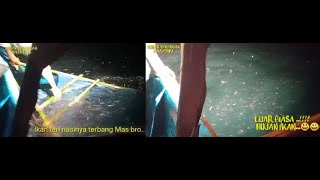 LUAARR BIASA... SAKING BANYAKNYA IKAN, SAMPAI PADA TERBANG