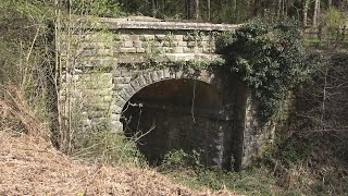 Forest of Dean Lower Lydbrook to Mirystock Tunnel Site