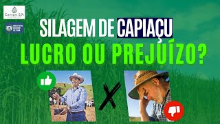 Silagem de Capiaçu. Lucro ou prejuízo? - Adilson L. Gastaldello Junior -  Parte I