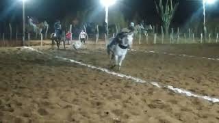 vaquejada no Parque dos Vaqueiros em São João do Piauí