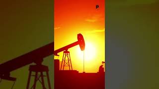 ¿Qué se produce del petróleo? #datoscuriosos #petroleo #economia #elecciones2022 #shortvideo