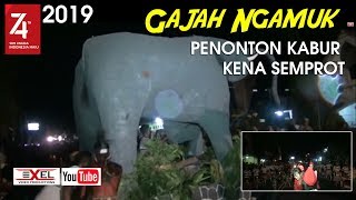 KARNAVAL DAMPIT 2019 'KREATIF GAJAH SEMPROT AIR SUNGGUHAN (PART 9)