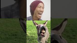 Viral laughing donky ,Laughing#laugh #shorts #viral #trending #memes #laughing