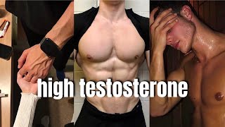 why you need to increase your testosterone level ASAP