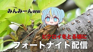 【雑談】ビクロイするぞ！！もしかしたらホラゲーも！！フォートナイト配信【どらたん】