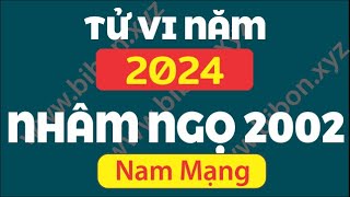 TỬ VI TUỔI NHÂM NGỌ 2002 năm 2024 - Nam Mạng