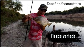 🎣 HERMOSA pesca en NUEVO lugar del río / aventura y naturaleza / 🇦🇷Río gualeguay .