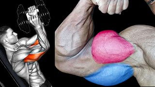 كيف تحصل على بايسبس وترايسبس ضخمة: تمارين فعّالة لزيادة حجم عضلات الدراع arm workout