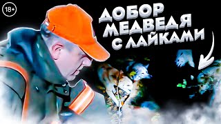 ДВА ЗВЕРЯ за ОХОТУ! МЕДВЕДЬ и ЛОСЬ.