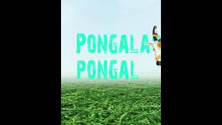 Pongalao pongal Thai pongalum vandhadhuPaalum pongudhuPaattu solladiyo song/jrwhatsappstatus