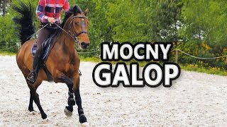 Jak POTĘŻNIE galopować? Mocny galop - dodania w galopie.