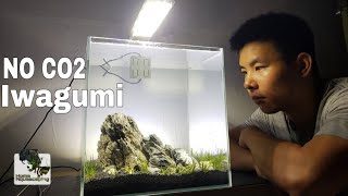 SETTING UP A LOWTECH IWAGUMI - HOW TO NANO AQUASCAPE